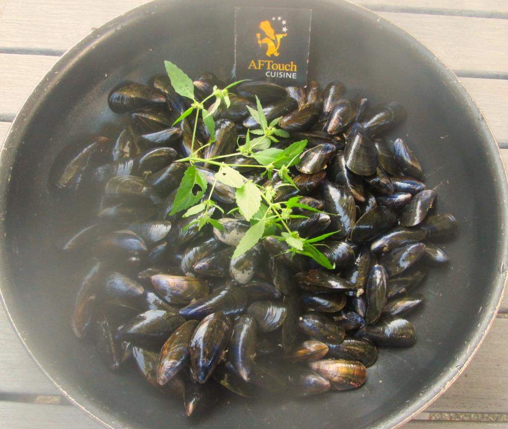 Moules de bouchot en crme de verveine citronnelle