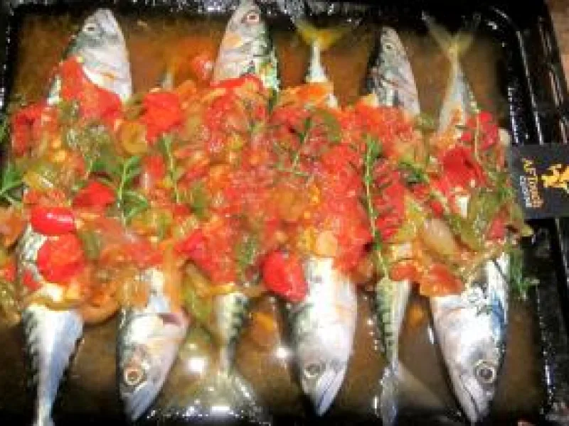 Recettes Maquereaux