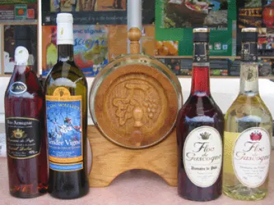 Lannemayou et fils, producteurs de Floc de Gascogne.