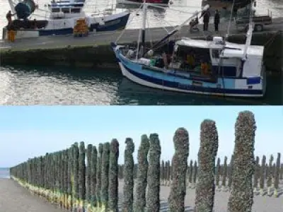 Escapade bretonne en Penthièvre