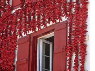 Classification des Epices et Aromates