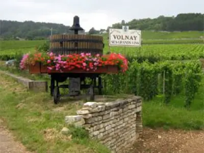 A few days in Burgundy