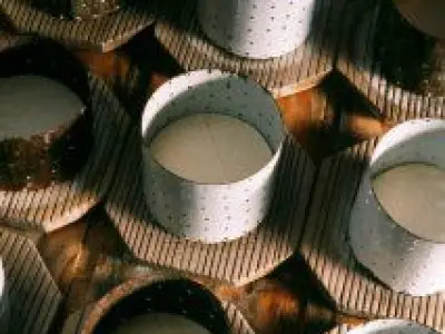 Les fromages du Nord