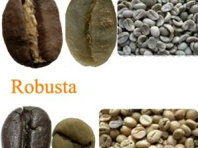 Le café, choisir et préparer