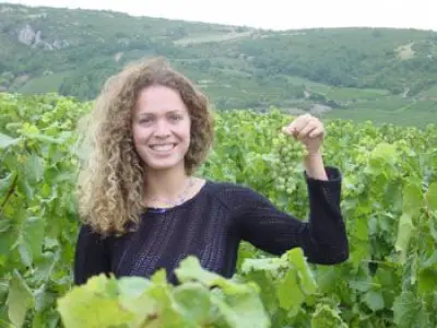 Pouilly-Fuissé, un vin de Bourgogne à découvrir