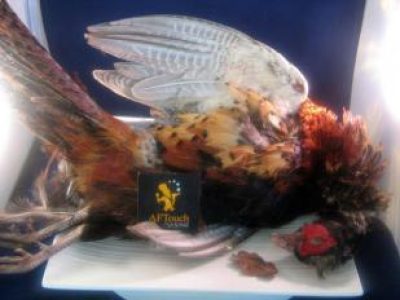 Recette Aiguillettes de faisan à la lucullus