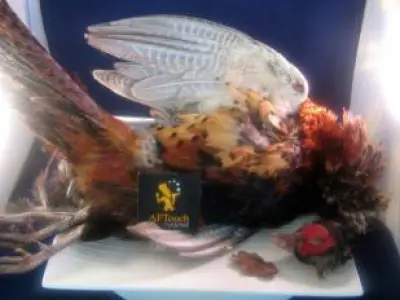 Recette Aiguillettes de faisan à la lucullus