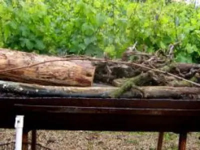 Recette Andouillette AAAAA au Barcecue