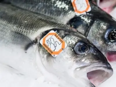 Recette Bar de ligne en croûte de sel