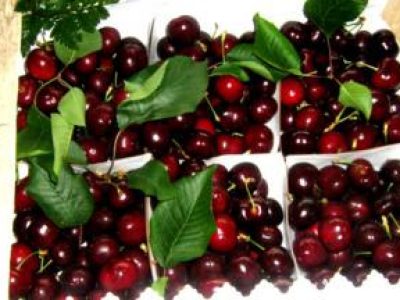 Recette Beignet de cerises