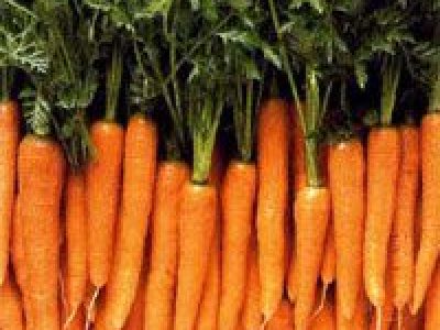 Recette Cake aux carottes