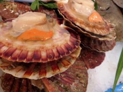 Recette Coquilles St Jacques au houblon