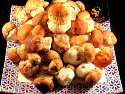 Recette Coquilles St Jacques rôties aux cèpes