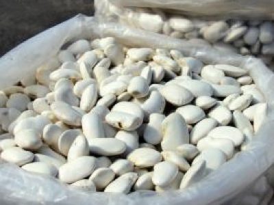 Recette Couennes et haricots Tarbais