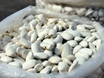 Recette Couennes et haricots Tarbais