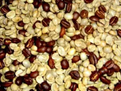 Recette Crème au café