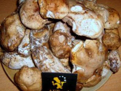 Recette Croque Landais