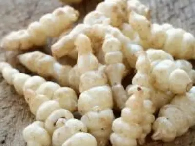 Recette Crosnes à la grecque