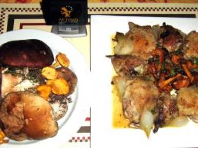 Recette Fricassée de volaille a la Périgourdine