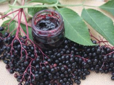 Recette Gelée de Sureau