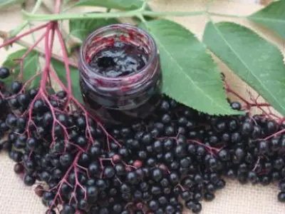 Recette Gelée de Sureau