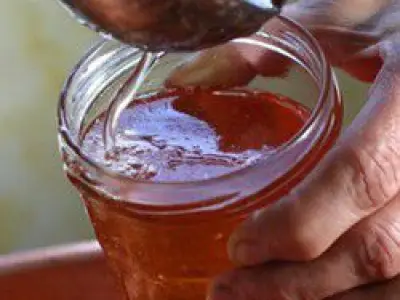 Recette Gelée de pommes