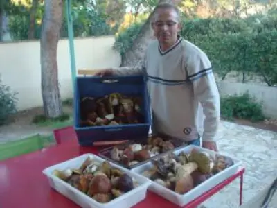 Recette Gnocchi aux cèpes