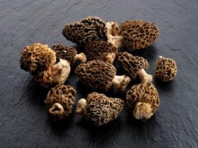 Recette Gratin de pommes de terre aux morilles