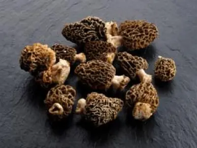 Recette Gratin de pommes de terre aux morilles