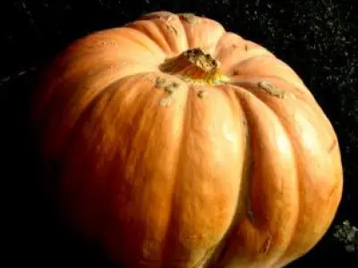 Recette Grenadin de veau en cocotte