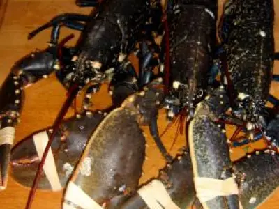 Recette Homard au Kari