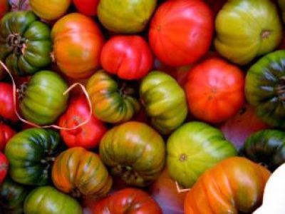 Recette Lapereau Antibois