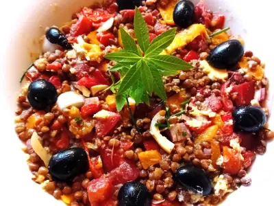 Recette Les lentilles blondes en salade nicoise