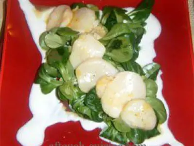 Recette Marinade de St Jacques