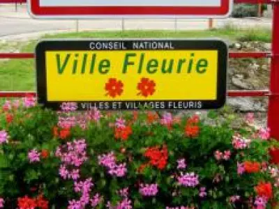 Recette Médaillons de lotte st jacques et moules