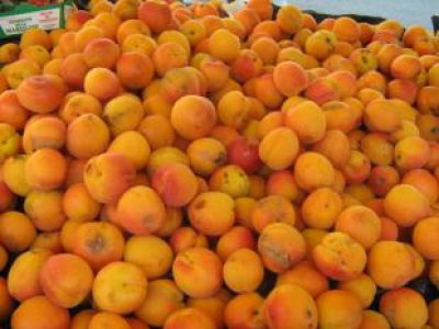 Recette Mousse d'abricots