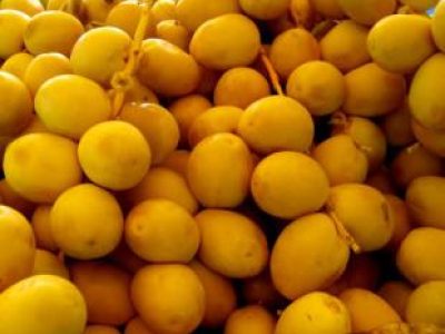 Recette Nougat de dattes