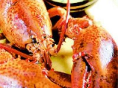 Recette Presskopf de homard au foie gras