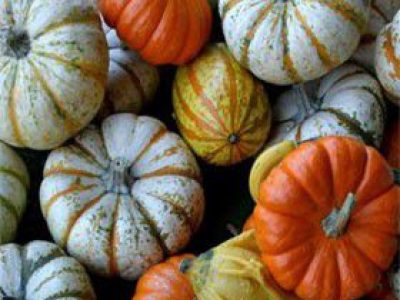 Recette Pâtisson poêlé