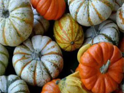 Recette Pâtisson poêlé