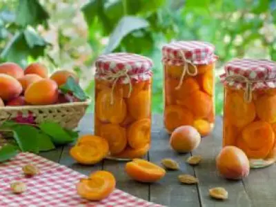 Recette Pêche au thon