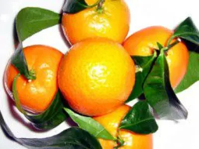 Recette Pétales de clémentines