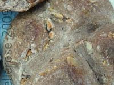 Recette Petits pain aux noix et aux châtaignes