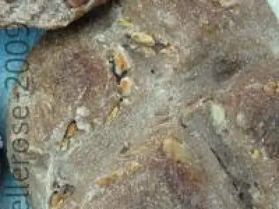 Recette Petits pain aux noix et aux châtaignes