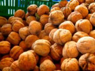 Recette Petits palets d'Artois aux noix