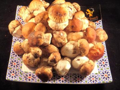 Recette Petits rôtis aux cèpes