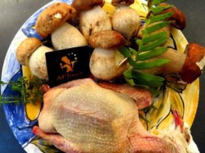 Recette Pigeon de grain rôti et cèpes de Bordeaux