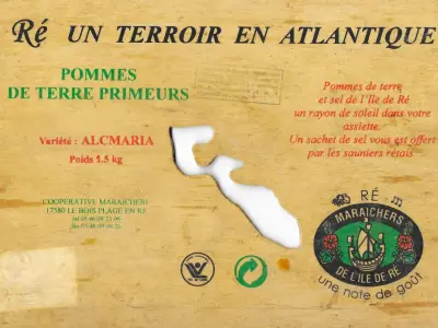 Recette Pommes nouvelles