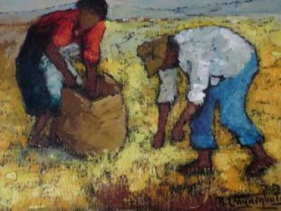 Recette Pommes à la Boulangère à la chicorée