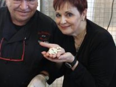 Recette Potage Crème de Soissons